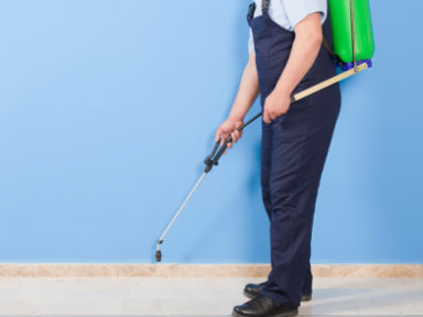 Exterminators in Omaha