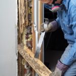 Professional termite inspector in a respirator and gloves examining severe wood damage in an Omaha home.