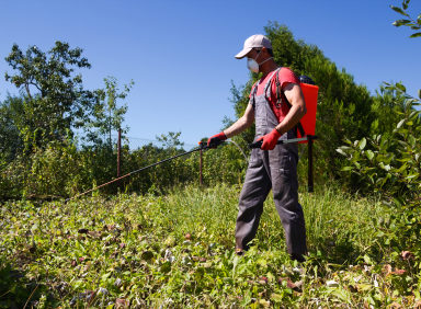 History Of Pest Control