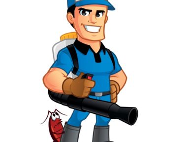 Simple Pest Prevention Steps