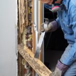 A professional inspector from Omaha Pest Control wearing protective gear while examining severe termite wood damage in an Omaha, Nebraska home.