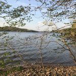 Scenic view of a lake and wooded shoreline in Papillion, NE, representing the local service area for Omaha Pest Control.