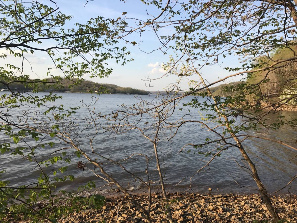 Dragonflies In Nebraska