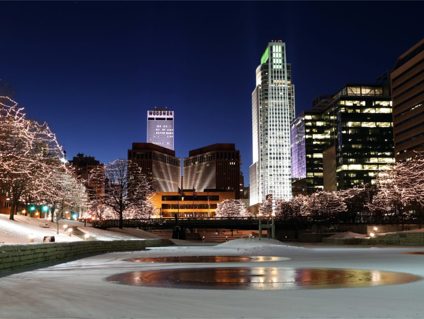 Nebraska Winter Pests