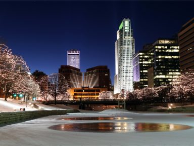 Nebraska Winter Pests