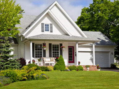 Millipedes & Centipedes